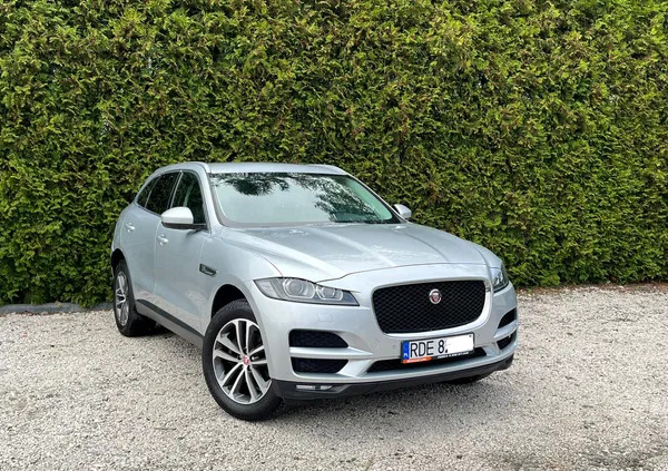 jaguar f-pace dębica Jaguar F-Pace cena 99900 przebieg: 158000, rok produkcji 2019 z Dębica